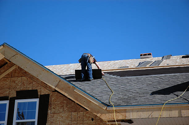 Best Roof Gutter Cleaning  in Clinton, NY